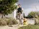 Karcher WD 3 V-19/4/20 - Bidone Aspiratutto - Fusto in plastica da 19 litri