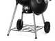 Napoleon PRO22 - Barbecue a carbone