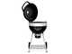 Napoleon PRO22 - Barbecue a carbone
