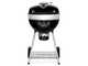 Napoleon PRO22 - Barbecue a carbone