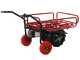 OUTLET - PICCOLI DIFETTI ESTETICI - Geotech CAR 300T-T - Carriola elettrica a batteria 40V 6Ah