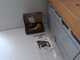 OUTLET - PICCOLI DIFETTI ESTETICI - Effeuno Easy Pizza Evolution P134H - Forno elettrico per pizza