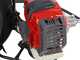 Efco DSH 5000 BP - Decespugliatore a zaino - Motore Emak