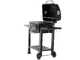 OUTLET - PICCOLI DIFETTI ESTETICI - RoyalFood CB 2450 - Barbecue a carbone