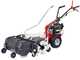 Eurosystems P55 EVO - Trinciaerba a scoppio - Falciatutto PRO - B&amp;S 675 iSi