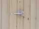 Alce Stefy 238x245 - Casetta da giardino in legno - 238x245x220 cm