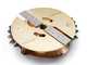 OUTLET - DIFETTI ESTETICI - Ceccato Tritone Big - Biotrituratore Professionale Trifase - A disco e martelli