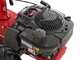 Eurosystems P55 EVO - Decespugliatore a ruote a benzina - B&amp;S 675 EXI