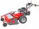 Meccanica Benassi TR 800 - Trinciaerba professionale a martelli - Zonsen XP380E