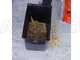 OUTLET - DIFETTI ESTETICI - GeoTech GSB50 - Biotrituratore a scoppio - Motore a benzina 6 HP