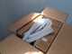 OUTLET - DA ESPOSIZIONE - Bestway Power Steel 56448 - Piscina Ovale