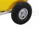 OUTLET - PICCOLI DIFETTI ESTETICI - GeoTech SP 550 4S ALU - Pompa irroratrice a scoppio - 4 tempi a benzina