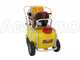 OUTLET - PICCOLI DIFETTI ESTETICI - GeoTech SP 550 4S ALU - Pompa irroratrice a scoppio - 4 tempi a benzina