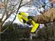 Ryobi RY18SCA-120P - Forbice elettrica da potatura - 18V 2Ah - Diametro di taglio 25mm