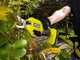 Ryobi RY18SCA-120P - Forbice elettrica da potatura - 18V 2Ah - Diametro di taglio 25mm