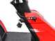 BlueBird TR P 62H - Trattorino tagliaerba mini-rider - Motore da 224cc -  Avviamento elettrico