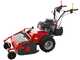 Meccanica Benassi TR 600 - Trinciaerba professionale a martelli - Zonsen XP380E