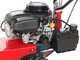 Meccanica Benassi TR 600 - Trinciaerba professionale a martelli - Zonsen XP380E