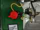 OUTLET - UTILIZZATO PER PROVA - Greenbay GB-WP 80 - Motopompa a scoppio - Raccordi da 80 mm