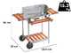 Ompagrill 60-40/Pro/C - Barbecue a carbone