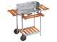 Ompagrill 60-40/Pro/C - Barbecue a carbone