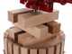 OUTLET - PICCOLI DIFETTI ESTETICI - Baesso Torchio 25 - Torchio per uva manuale - 20 lt