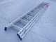 Facal Stilo SL290-3, 3x10 gradini, 6.22 m - Scala telescopica in alluminio allungabile - Altezza stimata operativa 7.12 m