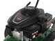GreenBay MRC 173-560 - Decespugliatore a ruote a benzina 4 tempi trazionato