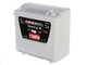 Paterlini OLIVELOX BA 3 - Abbacchiatore elettrico - 12V - da 2 a 3 metri