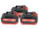Aima Twigo Cordless - Abbacchiatore elettrico 195/300cm a batteria a litio 3x 21V 5.2Ah - Asta telescopica in alluminio