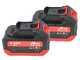 Aima Twist Plus Cordless - Abbacchiatore elettrico 250 cm a batteria al litio 2x 21V 5.2Ah - Asta fissa in alluminio