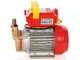 Rover BE-M 20 IP 55 - Pompa elettrica da travaso in bronzo con protezione IP55 - Monofase - 230V