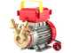 Rover BE-M 20 IP 55 - Pompa elettrica da travaso in bronzo con protezione IP55 - Monofase - 230V
