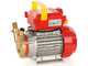 Rover BE-M 20 IP 55 - Pompa elettrica da travaso in bronzo con protezione IP55 - Monofase - 230V