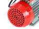 Rover BE-M 25 IP 55 - Pompa elettrica da travaso in bronzo con protezione IP55 - Monofase - 230V