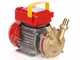 Rover BE-M 25 IP 55 - Pompa elettrica da travaso in bronzo con protezione IP55 - Monofase - 230V