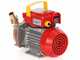 Rover BE-M 25 IP 55 - Pompa elettrica da travaso in bronzo con protezione IP55 - Monofase - 230V