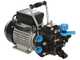 Kit motopompa elettrica da irrorazione con carrello - Bertolini Pumps STRIP DE71