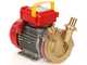 Rover BE-M 30 - Pompa elettrica da travaso in bronzo monofase - 230 V