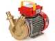 Rover BE-M 30 - Pompa elettrica da travaso in bronzo - Monofase - 230V