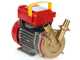Rover BE-T 25 - Pompa elettrica da travaso in bronzo - Trifase - 400V