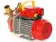Rover BE-T 40 - Pompa elettrica da travaso in bronzo - Trifase - 400V
