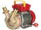 Rover 40 CE - Pompa elettrica da travaso in bronzo - Monofase - 230V