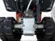 GeoTech-Pro GeoPorter 530D Hydro - Minitransporter con cassone dumper idraulico 500Kg