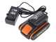 Worx WG163E - Tagliabordi a batteria - 2x 20V 2Ah
