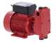 Ribimex PRKG130 - Pompa da travaso per gasolio + Kit dispenser
