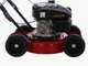 Marina System Speedy L - Rasaerba mulching a spinta - Motore Loncin LC1P65FE