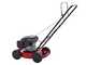 Marina System Speedy L - Rasaerba mulching a spinta - Motore Loncin LC1P65FE