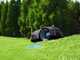 MOVA ViAX 250 - Robot Tagliaerba - Senza impianto