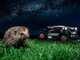 Worx Landroid Vision Cloud WR344E - Robot Tagliaerba 4WD - Senza impianto